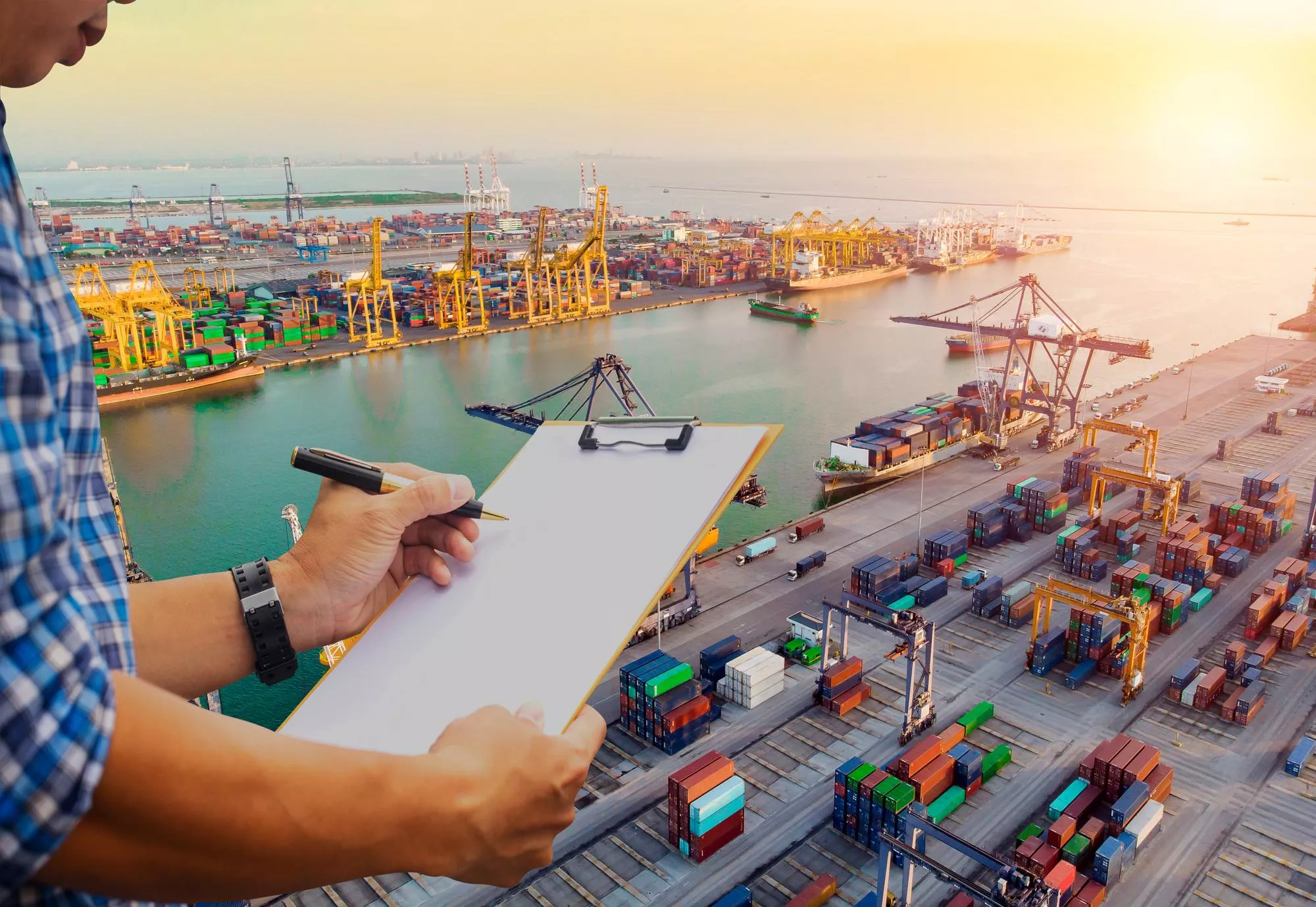Export and import compliance process